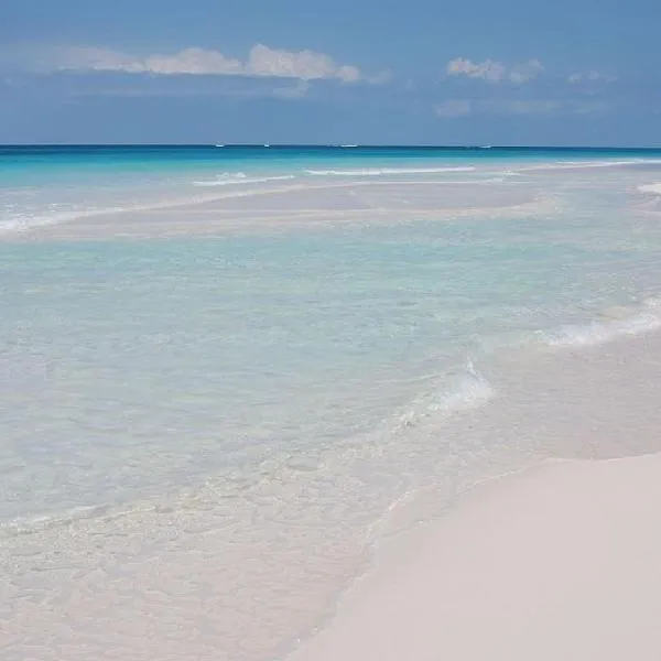 Allamanda Harbour Island - Restored Historic Home w/Pool, Outside, hotell i Harbour Island