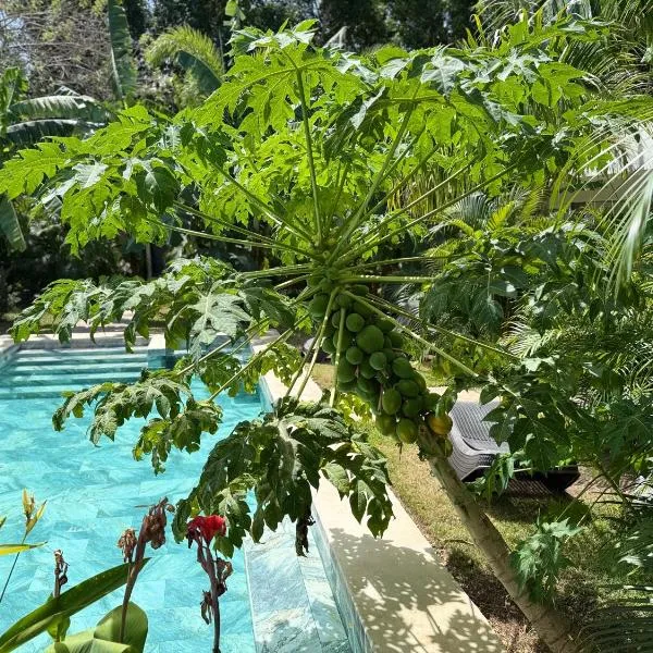 Hotel Good Life, hotel em Coco
