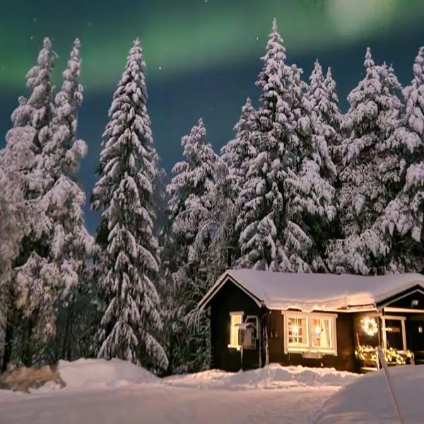 Sarvasstugan, hotel din Auktsjaur