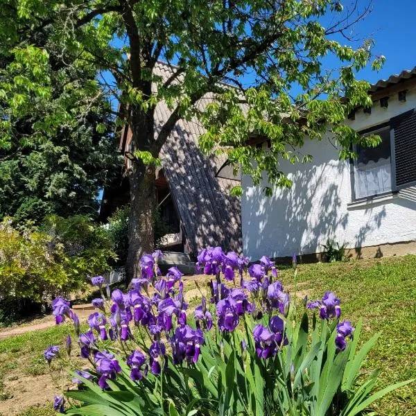 Zalakaros में, होटल ApróLak - Erdőhöz közeli alpesi faház, pároknak és családoknak