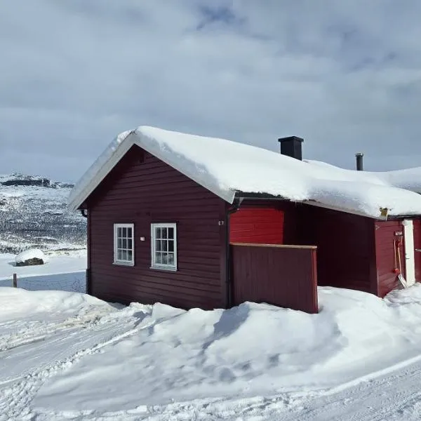 Midtgard โรงแรมในTyinkrysset