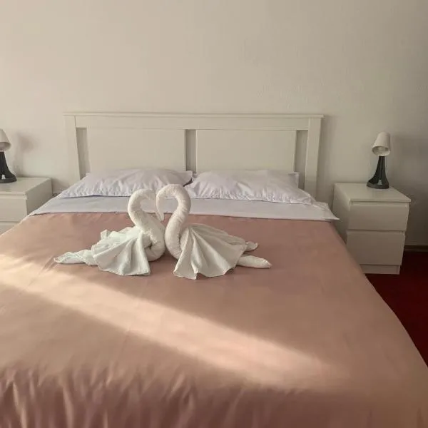 Palas Hotel, hotel a Slănic-Moldova