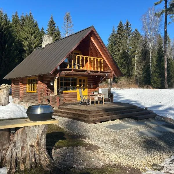 Ala-Kure metsamaja, hotel i Varbuse
