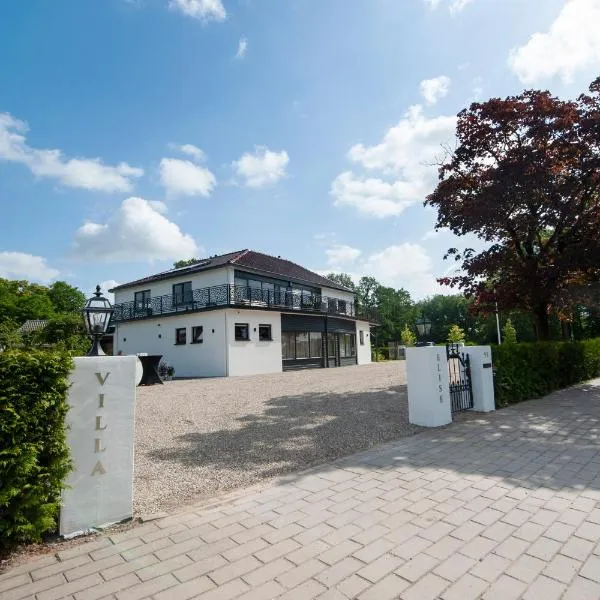 Boutique Hotel Villa Elise, hotel v destinaci Winterswijk