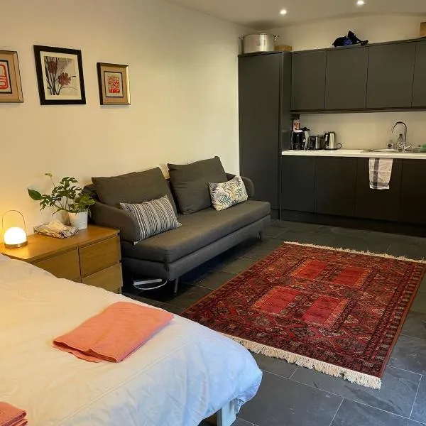 Little green door studio very close to the center of Brixton, Hotel in London