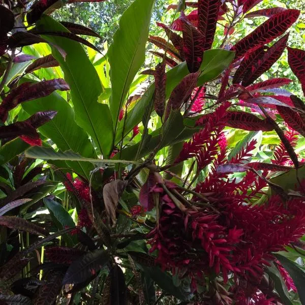 Centro Ecoturistico Ya´ajche, hotel u gradu Lacanjá