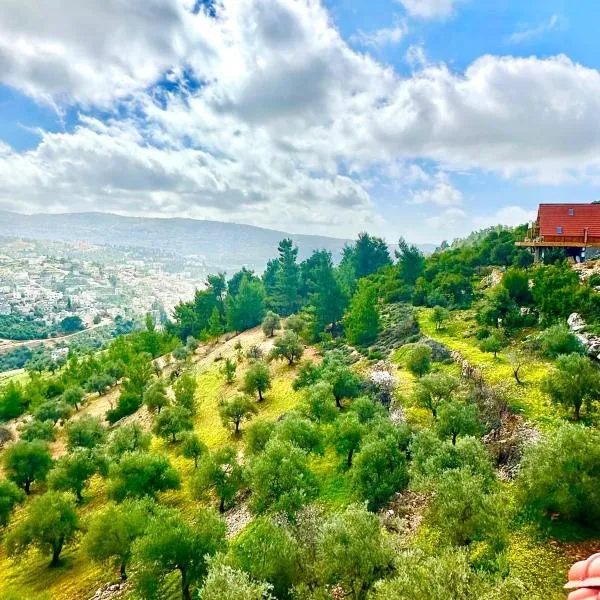 أكواخ المها oryx cottage, viešbutis mieste Adžlunas