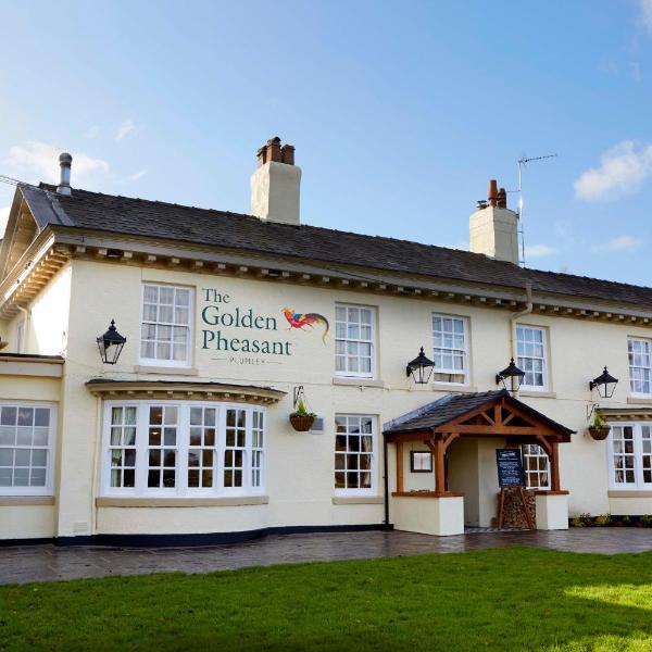 The Golden Pheasant