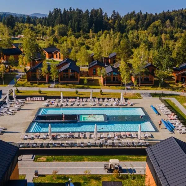 Phoenix Medical Resort, hotel a Skhidnytsia