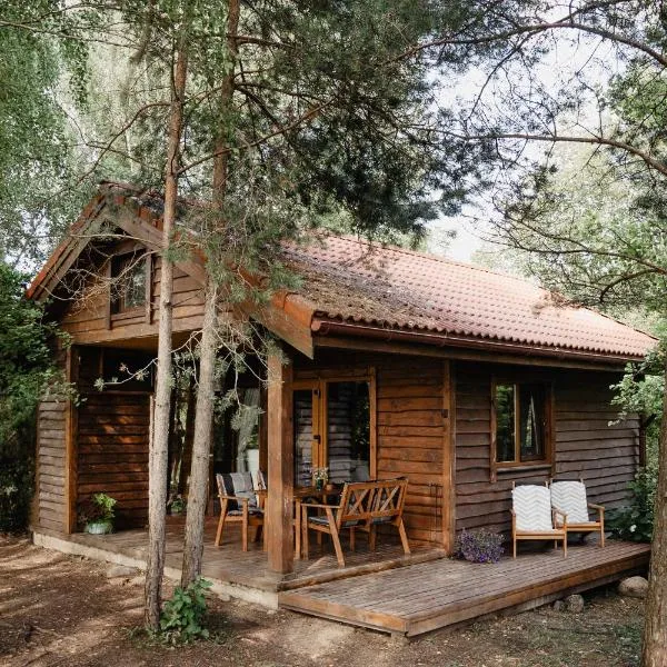 Beržų namelis - Birch cabin,Kučiūnai的飯店