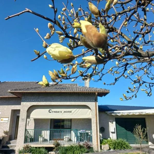 Cynda´s home, hotel v destinaci Viseu