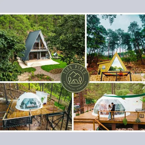 Tiny Pines A-Frame Cabin, Domes and Luxury Glamping Site, hotell sihtkohas El Rodeo