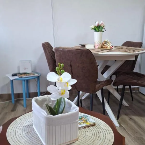 Apartman Raj, hotel em Gunjica