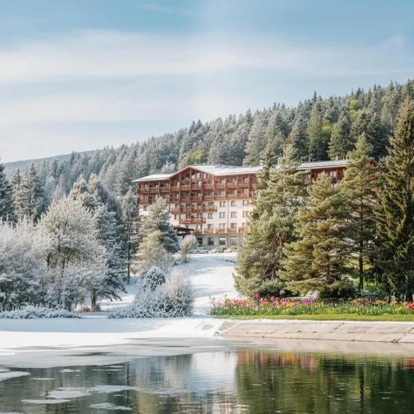 Hotel Partizán, hotel en Tale