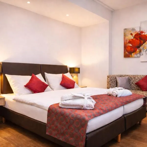 Hotel Alexander，巴塞爾的飯店