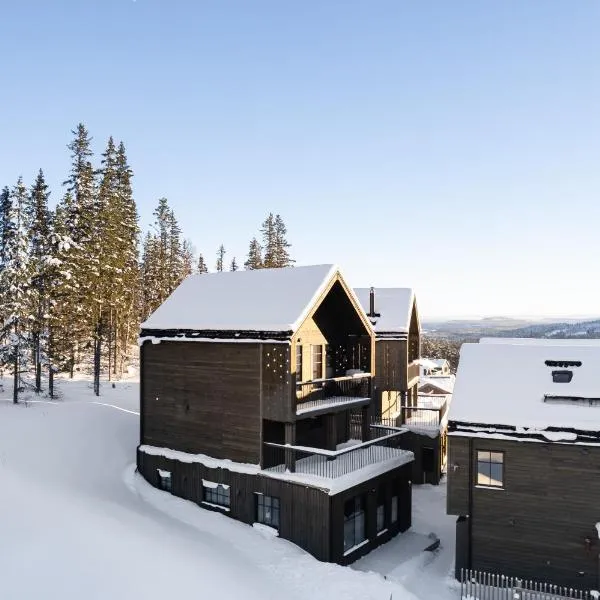 Ljungvind Kåvan - Funäsdalen, hotelli kohteessa Funäsdalen