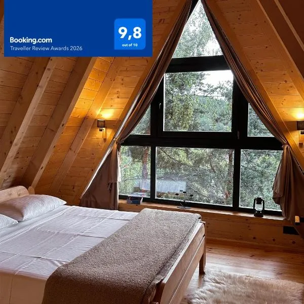 Molika Forest House, hotelli kohteessa Kolašin