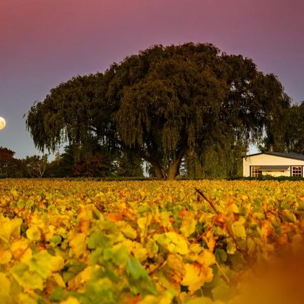 St Leonards Vineyard Cottages, hotel v mestu Blenheim