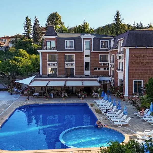 Chateau Montagne Hotel Troyan، فندق في ترويان