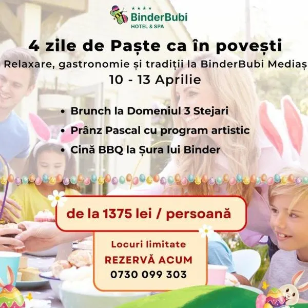 Mercure Medias Binderbubi Hotel And Spa, Hotel in Mediaş