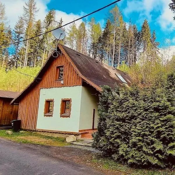 Chalupa Špičák, viešbutis mieste Jablonecas prie Nisos