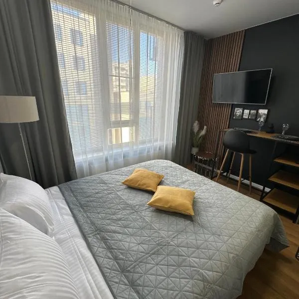 Home Vibes Apartments, hotel in Kyiv