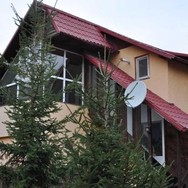 Casa Sabina, hotel v destinaci Pucioasa