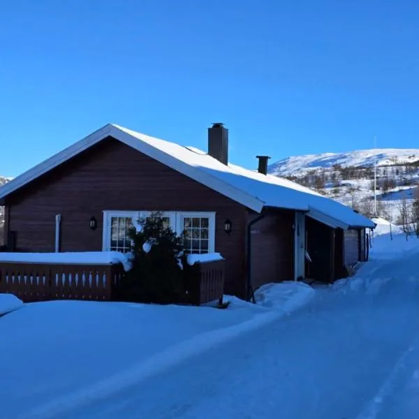 Fjellheimens Svanebu โรงแรมในTyinkrysset