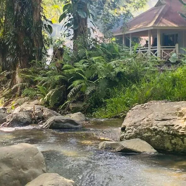 Sarramea Dépaysement Bungalow Déconnexion, Hotel in Sarraméa