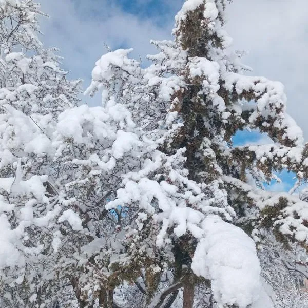 Gite Ain Bechar, hotel di Taza