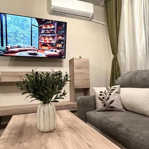 Apartment Dragoman 10, Hotel in Plewen