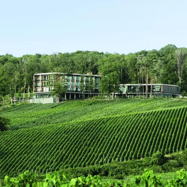 LOISIUM Wine & Spa Hotel Champagne, hotel en Mutigny