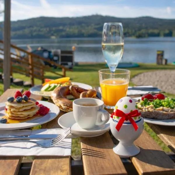 Amenity Hotel & Resort Lipno, hotel a Lipno nad Vltavou