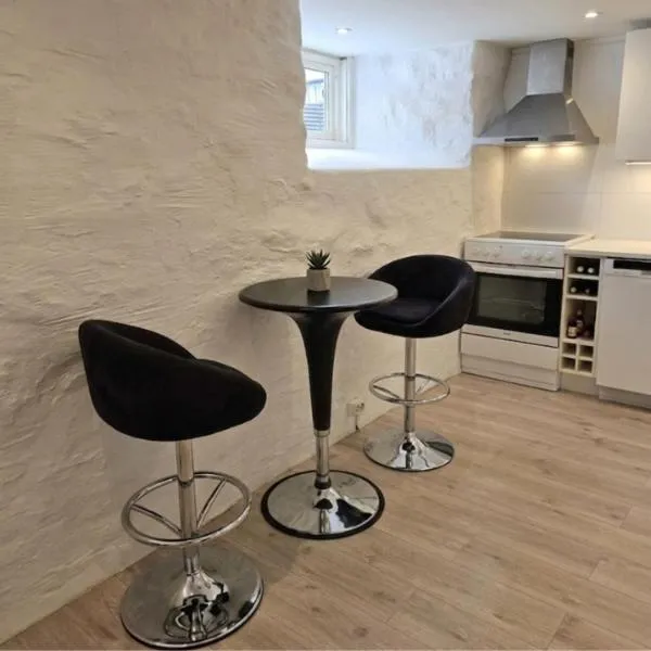 Apartment in central Skien โรงแรมในชีนเอน