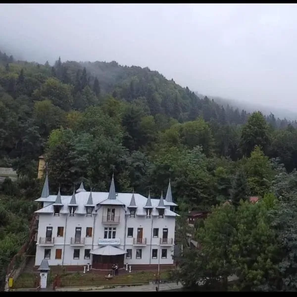 Hotel Eurosan, hotel din Slănic Moldova