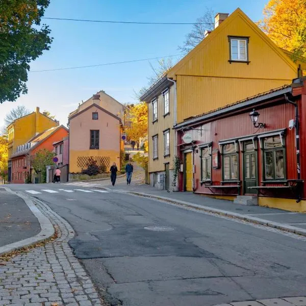 Window To The Most Iconic Old Street Oslo city Apartments with lift and free parking, Hotel in Oslo