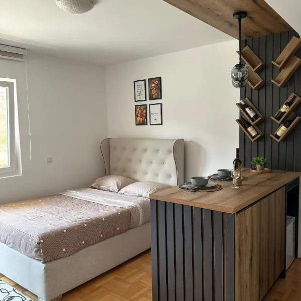 Apartment Lake story, hotel in Plužine