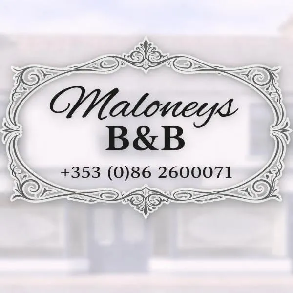 Maloney's The Square Bed & Breakfast, hotel v mestu Charlestown
