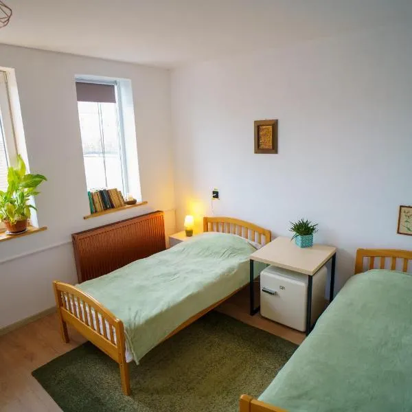 Lumiere Studio 2, hotelli kohteessa Sfântu Gheorghe