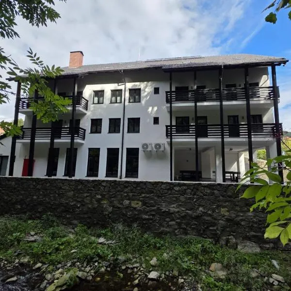 Agropensiune turistica Dor de Munte, hotel in Obîrşia-Cloşani