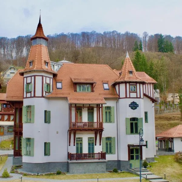 Turul Villa, hotel din Sovata