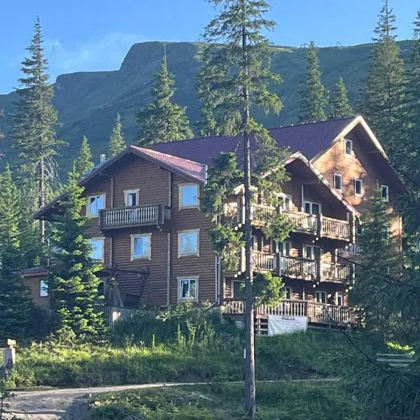 Alpin Eco Chalet & Wellness, hotel em Dragobrat