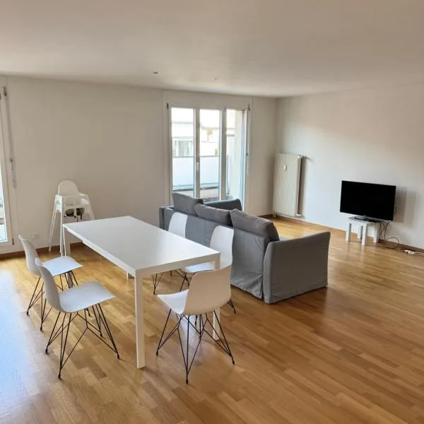 Penthouse Loft with Rooftop Terrace 50sqm, Open Modern Kitchen, 2 BR, City Center, Hotel in Basel