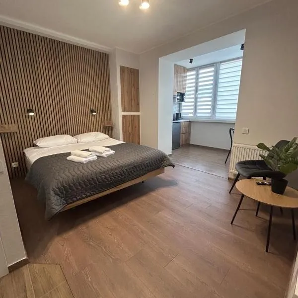 Нова квартира студія Центр ЖД автовокзал Дрімтаун, hotel u gradu Lutsʼk