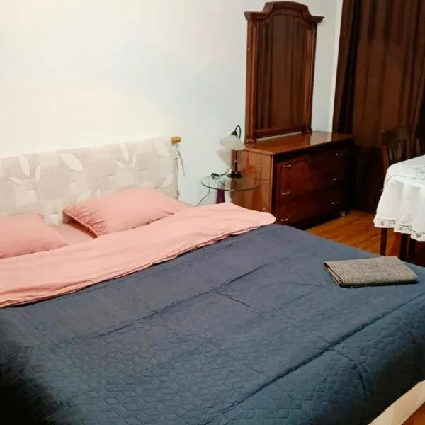 1 double room Комната для двоих Center Park, hotel en Chişinău