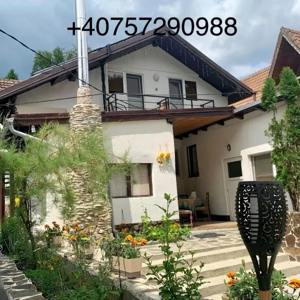 Podul De Brazi, hotel a Cîrţişoara