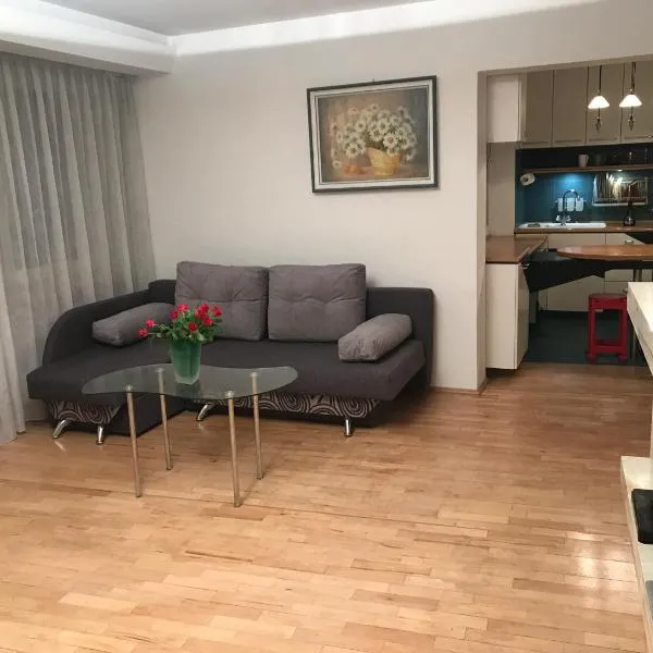 Duży 4 pokojowy apartament, 3 osobne pokoje i salon, do 6 osób, kuchnia, łazienka, balkon, viešbutis Krokuvoje