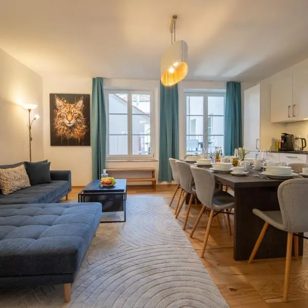 Spacious Apartment in Central Basel near Rhine - Special TOP LUX 14 Apartment, Basel, up to 8 guests, hotel en Basilea