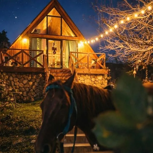 Tasia's Cottage, hotel u gradu 'Tsalka'