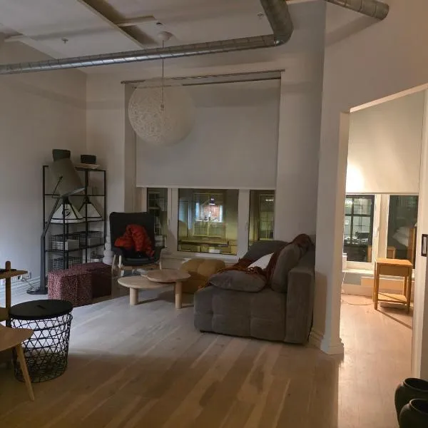 Viesnīca Business- and family Apartment Historical City centre Oslo